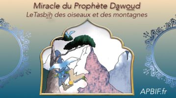 VIDEO | Miracle du Prophète Dawoud عليه السلام (ERRATUM) prophete-dawoud