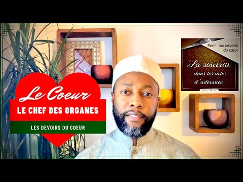 Le cœur, le chef des organes