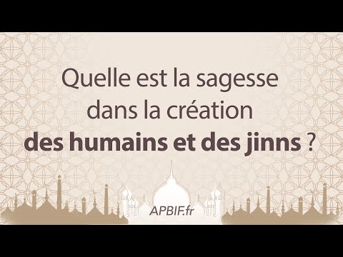 Quelle est la SAGESSE dans la CREATION des DJINNS et des HUMAINS ? | COURS 2 | PODCAST