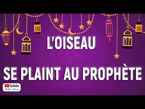 L&#039;oiseau se plaint au Prophète