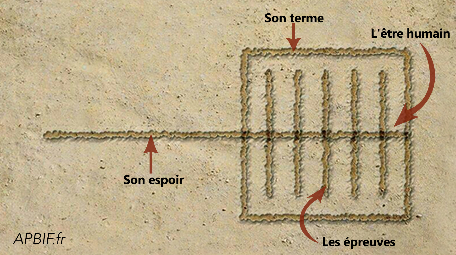 L’être humain, son terme, son espoir, les épreuves