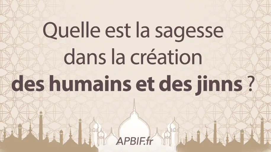 Quelle est la sagesse dans la création des jinns et des humains ?