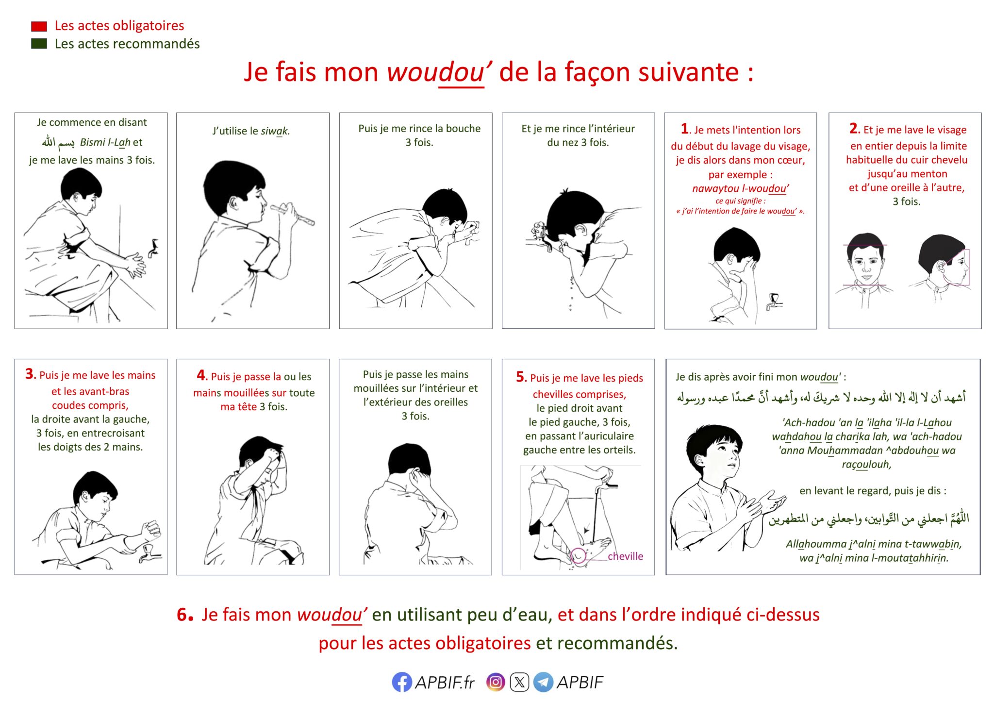 Affiche Ablution Pas A Pas APBIF Ahbache