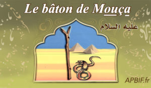 Le bâton de Mouça ^alayhi s-salam | VIDEO