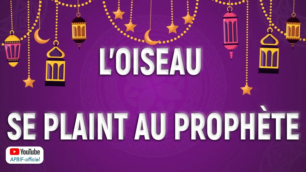 L’oiseau se plaint au Prophète : Un miracle du Messager de Dieu