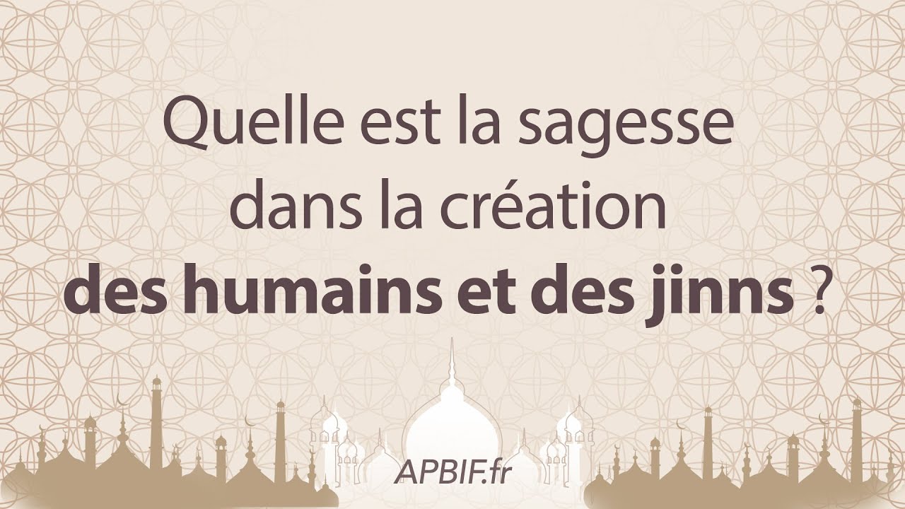 Quelle est la SAGESSE dans la CREATION des DJINNS et des HUMAINS ? | COURS 2 | PODCAST